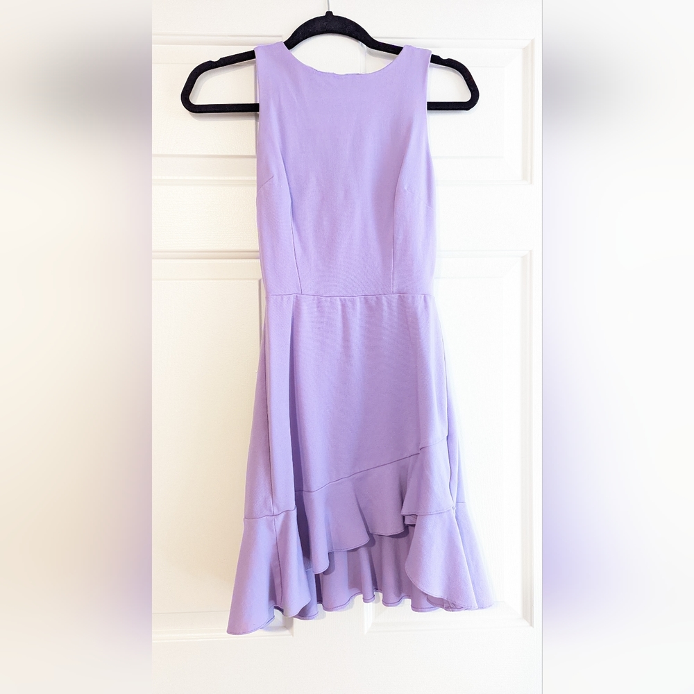 Love Ady lavender mini dress